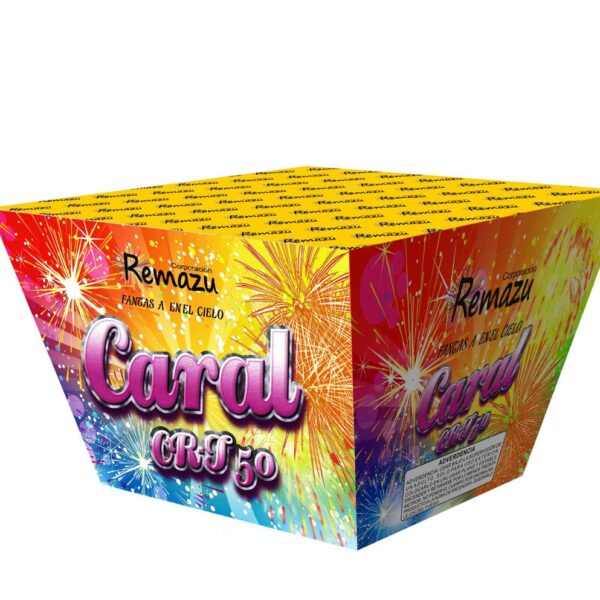 CARAL - CAJA DE 100 DISPAROS